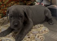 processed/2ce251bd-39d8-4503-a172-4527f132a45d/listing/ebf12afe-c5de-43d5-9e16-88746c5c370c/059a80ec-4c79-4ca6-82d5-3d0b905f9466