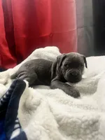 processed/2ce251bd-39d8-4503-a172-4527f132a45d/listing/ebf12afe-c5de-43d5-9e16-88746c5c370c/3364095f-4ad3-4b04-9d3c-1f6570cdb508