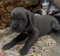 processed/2ce251bd-39d8-4503-a172-4527f132a45d/listing/ebf12afe-c5de-43d5-9e16-88746c5c370c/9702c884-b079-439a-8a1e-49bc44c30496