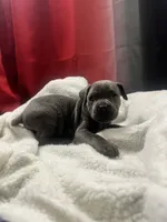 processed/2ce251bd-39d8-4503-a172-4527f132a45d/listing/ebf12afe-c5de-43d5-9e16-88746c5c370c/b794ee23-e277-46fd-b612-6e1bfe56118c