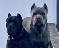 processed/2ce251bd-39d8-4503-a172-4527f132a45d/listing/ebf12afe-c5de-43d5-9e16-88746c5c370c/d8d06c68-70f1-49f2-bace-22486e6728a7