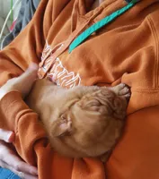 processed/2cebb949-de08-4f5d-9a92-6a3addd46c32/facility/87f4dd54-1d15-4105-ab3f-94b82bf38670