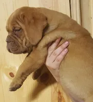 processed/2cebb949-de08-4f5d-9a92-6a3addd46c32/facility/91523285-e58c-4d43-aca9-c8452c9c3bcb