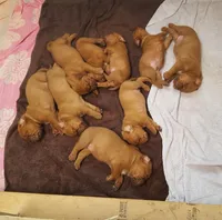 processed/2cebb949-de08-4f5d-9a92-6a3addd46c32/facility/a7cdb709-2bfc-404f-bab0-481a6d431085