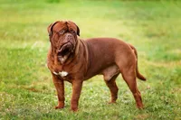 processed/2cebb949-de08-4f5d-9a92-6a3addd46c32/facility/aad16601-3c77-45b2-88c6-65ba48ec9796