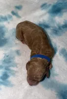 processed/2cece588-0f48-4850-a047-214526e53afa/listing/5ad34e7d-ac80-4768-8344-1dcb1a8bc61c/aec74923-d546-43e3-9fc1-660f010f83cd