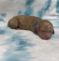 processed/2cece588-0f48-4850-a047-214526e53afa/listing/5ad34e7d-ac80-4768-8344-1dcb1a8bc61c/e16ae671-779a-42c1-b33e-bc0d48c1c27a