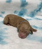 processed/2cece588-0f48-4850-a047-214526e53afa/listing/5ad34e7d-ac80-4768-8344-1dcb1a8bc61c/e6bea3ba-5683-4b92-bbf1-bd86a7509868