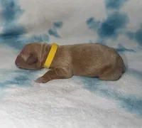 processed/2cece588-0f48-4850-a047-214526e53afa/listing/efe1702a-5148-4a48-adbe-f1518a18399e/79e8e917-adfc-405f-8930-10a12a0296e5