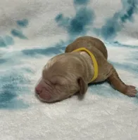 processed/2cece588-0f48-4850-a047-214526e53afa/listing/efe1702a-5148-4a48-adbe-f1518a18399e/ac1b3ffa-23a9-451b-8c09-7e7d29e56d50