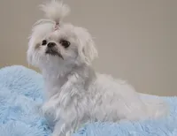 processed/2cf2c0ec-8239-4e2a-8300-dca1eeaa4b59/listing/544e3d5d-8b6d-4486-826c-53af3c4b5685/e8148429-5aca-45c9-b48f-0c917544c45c