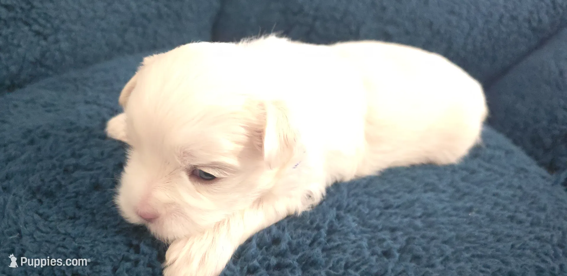 processed/2cf2c0ec-8239-4e2a-8300-dca1eeaa4b59/listing/c6611a58-98ee-4a60-8ef1-3a07ee3fb8b3/10ed76c0-63af-464f-8abc-eb3e5c30bb26