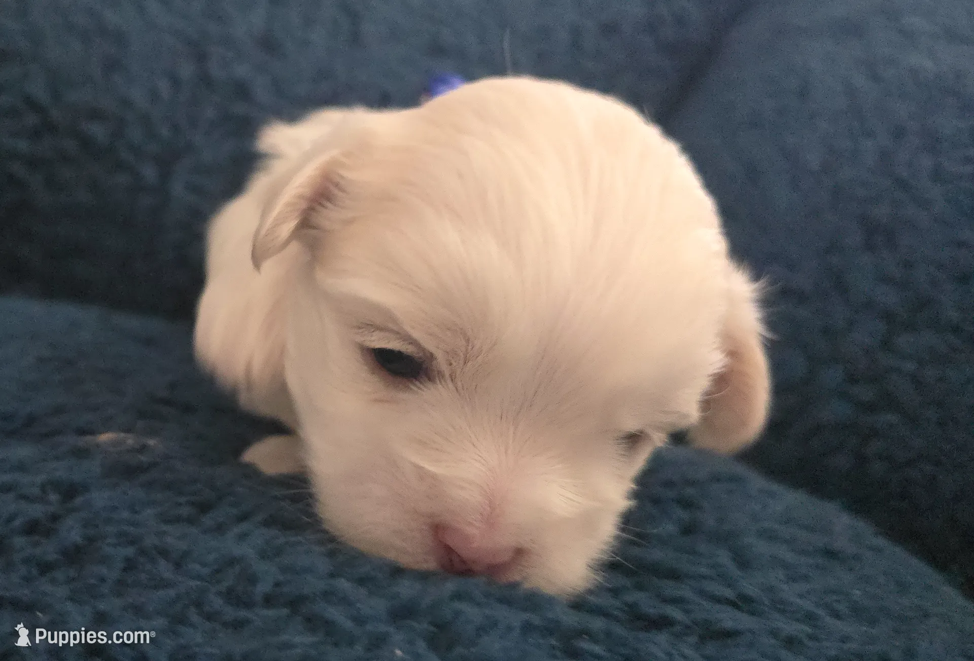 processed/2cf2c0ec-8239-4e2a-8300-dca1eeaa4b59/listing/c6611a58-98ee-4a60-8ef1-3a07ee3fb8b3/2df8f28c-406f-4fcd-93ca-82fc1b06dabe