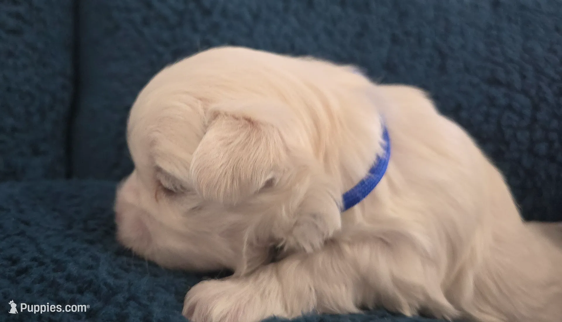 processed/2cf2c0ec-8239-4e2a-8300-dca1eeaa4b59/listing/c6611a58-98ee-4a60-8ef1-3a07ee3fb8b3/63775b26-45a3-49cc-83b3-341beccec1a8