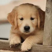 processed/2d05382b-ea52-48dd-9bbe-b45a1b612c2c/facility/12b7b4d9-7e0d-4540-a314-326d701b8282