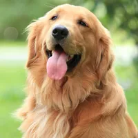 processed/2d05382b-ea52-48dd-9bbe-b45a1b612c2c/facility/2f2b9924-fbf0-46e9-88da-fef86ba347a7