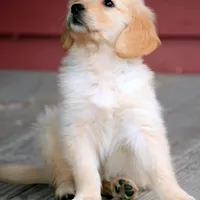 processed/2d05382b-ea52-48dd-9bbe-b45a1b612c2c/facility/7fdcf8be-1b1c-47a8-888d-be1808234ad7