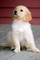 processed/2d05382b-ea52-48dd-9bbe-b45a1b612c2c/facility/7fdcf8be-1b1c-47a8-888d-be1808234ad7