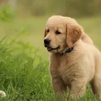 processed/2d05382b-ea52-48dd-9bbe-b45a1b612c2c/facility/803b9561-2931-4b99-87f0-158428204315