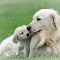 processed/2d05382b-ea52-48dd-9bbe-b45a1b612c2c/facility/c282d1e0-b3a7-4092-b3e2-daa4ae0a514b