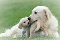 processed/2d05382b-ea52-48dd-9bbe-b45a1b612c2c/facility/c282d1e0-b3a7-4092-b3e2-daa4ae0a514b