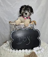 processed/2d05fb0e-0b70-448d-9dec-247bdecf9387/listing/0a16eef6-2437-4c81-ac28-45fc275092d0/d2af03f1-05da-451b-ab8e-dcbc5f18be08