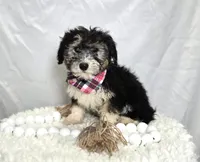 processed/2d05fb0e-0b70-448d-9dec-247bdecf9387/listing/0a16eef6-2437-4c81-ac28-45fc275092d0/ff99ee47-d6df-462e-bb79-a1c3ddfccfd3