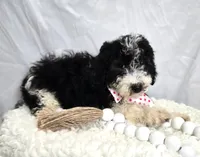 processed/2d05fb0e-0b70-448d-9dec-247bdecf9387/listing/e9d5e3f6-0e64-46ac-8230-95c37971f613/9fe07bfc-3e29-4aa2-a1ab-a358f38e86ee