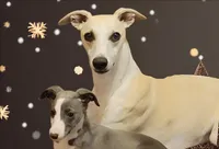 processed/2d078508-5263-4aab-9cf9-949f412f974b/facility/581f9575-e6bf-42d4-8dac-be5724e51851