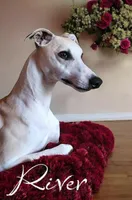 processed/2d078508-5263-4aab-9cf9-949f412f974b/facility/88ed561f-b0ab-4a84-aba9-8438b85588f9