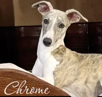 processed/2d078508-5263-4aab-9cf9-949f412f974b/facility/b0f2ab0c-9cf0-4413-8d19-db2e238ff39a