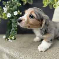 processed/2d0c2085-0a05-4e4b-827a-db6f4df0d8b7/facility/15659b66-4db1-49b4-ac10-5bd436a44ed5