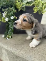 processed/2d0c2085-0a05-4e4b-827a-db6f4df0d8b7/facility/15659b66-4db1-49b4-ac10-5bd436a44ed5