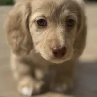 processed/2d0c2085-0a05-4e4b-827a-db6f4df0d8b7/facility/3bf11321-5e12-4845-91df-0281a892ac57