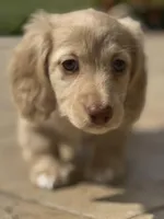 processed/2d0c2085-0a05-4e4b-827a-db6f4df0d8b7/facility/3bf11321-5e12-4845-91df-0281a892ac57