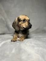 processed/2d0c2085-0a05-4e4b-827a-db6f4df0d8b7/facility/55e4d071-4043-4c12-8fa4-fc2eca6095bd