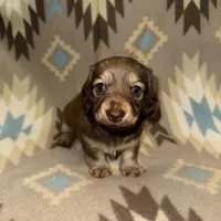 processed/2d0c2085-0a05-4e4b-827a-db6f4df0d8b7/facility/5babf14b-39f6-44b9-b246-803866cee480