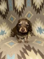 processed/2d0c2085-0a05-4e4b-827a-db6f4df0d8b7/facility/5babf14b-39f6-44b9-b246-803866cee480