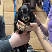 processed/2d0c2085-0a05-4e4b-827a-db6f4df0d8b7/facility/b3608ca0-7d61-462e-9653-180934ae54d4