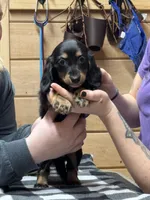 processed/2d0c2085-0a05-4e4b-827a-db6f4df0d8b7/facility/b3608ca0-7d61-462e-9653-180934ae54d4