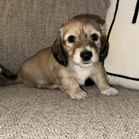 processed/2d0c2085-0a05-4e4b-827a-db6f4df0d8b7/facility/c509c689-5b6a-4ff5-92fd-1f9dd844cd95