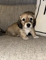 processed/2d0c2085-0a05-4e4b-827a-db6f4df0d8b7/facility/c509c689-5b6a-4ff5-92fd-1f9dd844cd95