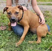 processed/2d11dbe5-dbc2-425f-a358-cde0f90d71a5/listing/aad746e8-8ba5-4646-ba11-b5c43ca4b261/62302f69-2c8f-43ae-9dcf-7a6e69215dc0