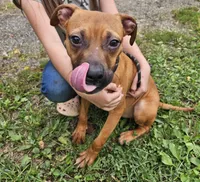 processed/2d11dbe5-dbc2-425f-a358-cde0f90d71a5/listing/aad746e8-8ba5-4646-ba11-b5c43ca4b261/782a8fa8-2f5f-48a4-b446-894ca39fa4a1