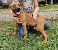 processed/2d11dbe5-dbc2-425f-a358-cde0f90d71a5/listing/aad746e8-8ba5-4646-ba11-b5c43ca4b261/a2c1a9ef-28d2-4d29-9b17-64f8506a4980