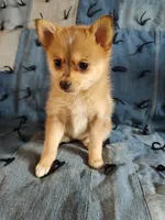 processed/2d19e5b6-3069-464a-86ba-3c2760a1a97c/listing/2fdb7a00-8bea-4910-9334-e4e3b9414ac3/5d924afc-83d6-41d4-98b2-24220379455a