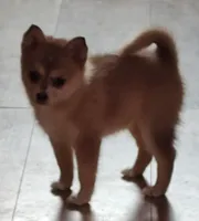 processed/2d19e5b6-3069-464a-86ba-3c2760a1a97c/listing/2fdb7a00-8bea-4910-9334-e4e3b9414ac3/a210c260-fbf9-44d8-919f-c9afe8f5e9e5