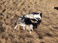 processed/2d19e5b6-3069-464a-86ba-3c2760a1a97c/listing/2fdb7a00-8bea-4910-9334-e4e3b9414ac3/b05f7810-349c-46c6-9e10-7abfd7244351