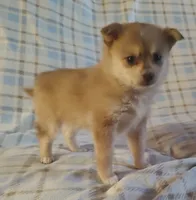 processed/2d19e5b6-3069-464a-86ba-3c2760a1a97c/listing/2fdb7a00-8bea-4910-9334-e4e3b9414ac3/bb504135-1777-4502-8bca-394bc8e8f3cc