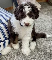 processed/2d1a88e6-f8f9-4347-bbf8-bddc92be6e4e/facility/37954dc8-6d2e-4b71-b076-87f5ebbd8284